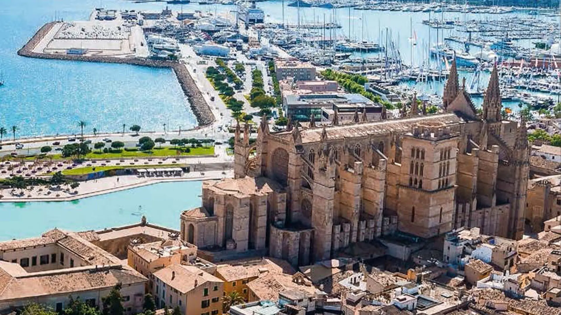 Mayer & Dau Mallorca Standorte Palma